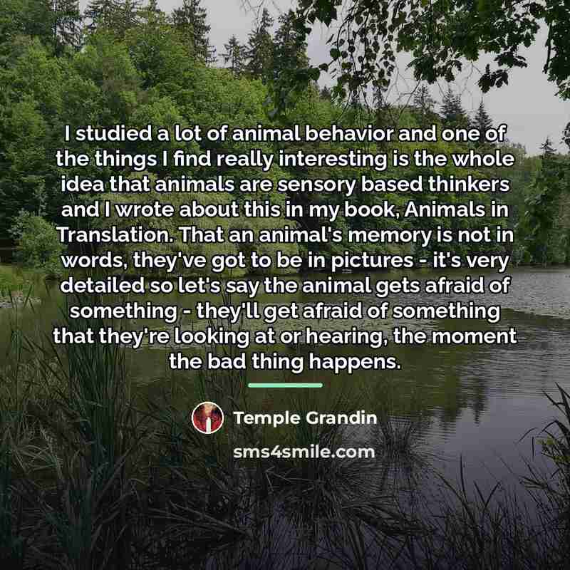 “I studied a lot of animal behavior and one of…” quote by Temple Grandin