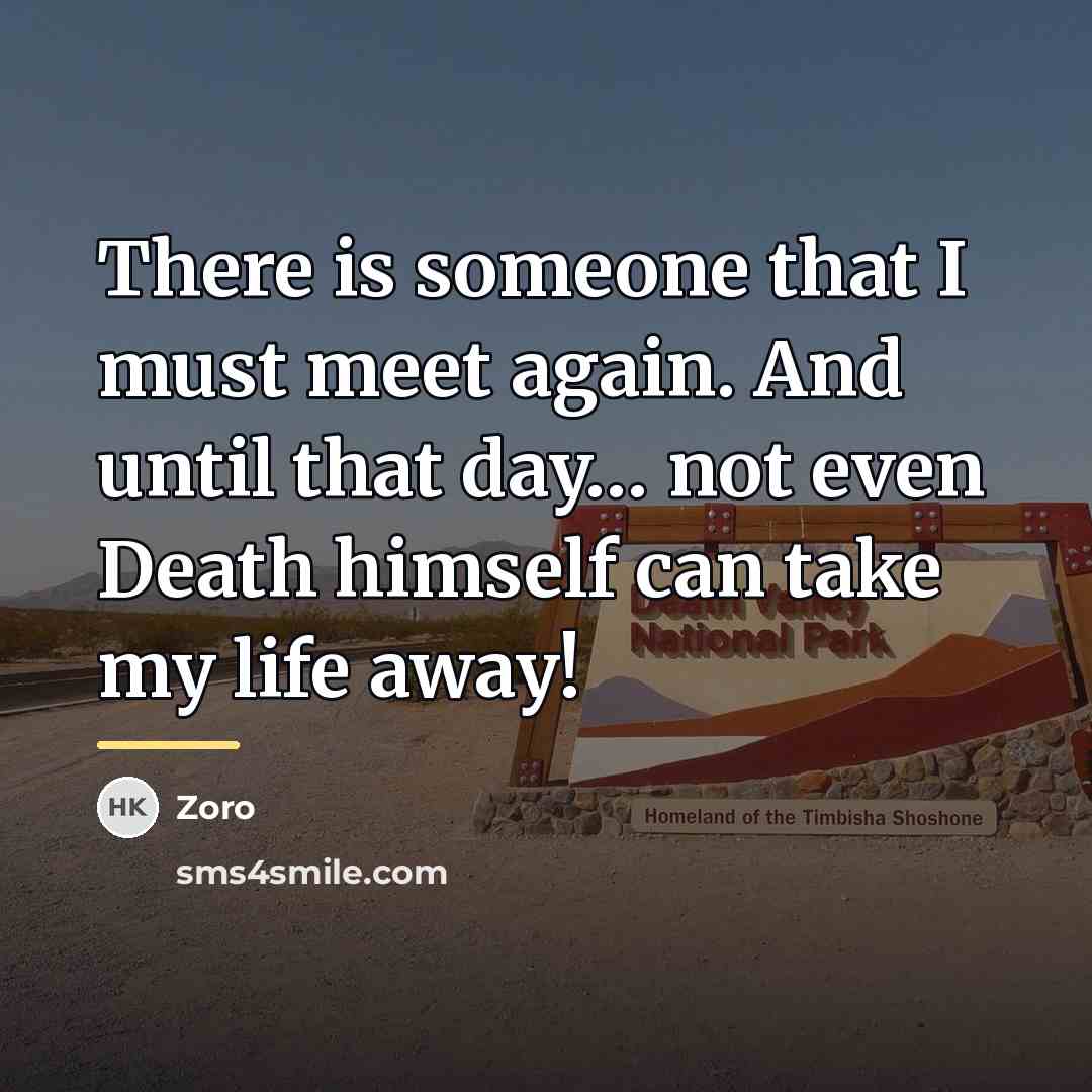 “There is someone that I must meet again. And until…” quote by Zoro