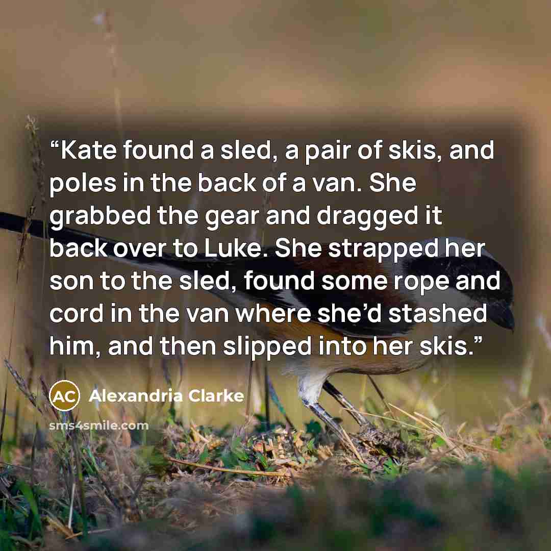 “Kate found a sled, a pair of skis, and poles in the back of a van. She grabbed the gear and dragged it back over to Luke. She strapped her son to the sled, found some rope and cord in the van where she’d stashed him, and then slipped into her skis.” quote by Alexandria Clarke