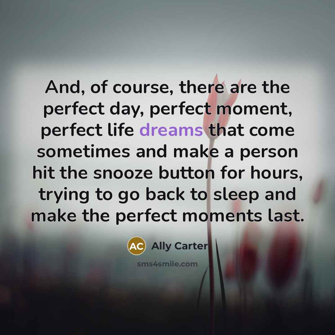 “And, of course, there are the perfect day, perfect moment,…” quote by Ally Carter