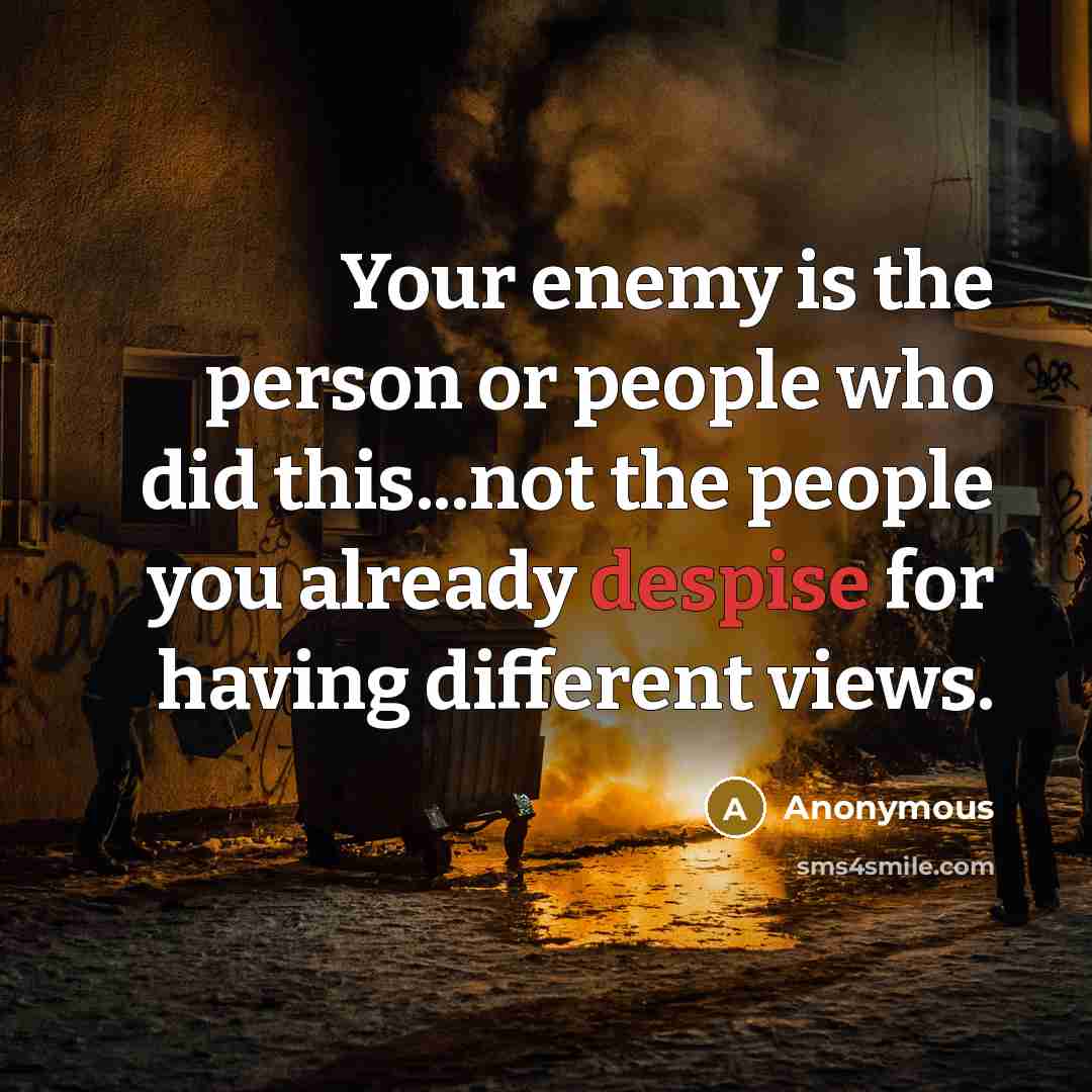 “Your enemy is the person or people who did this...not the people you already despise for having different views.” quote by Anonymous