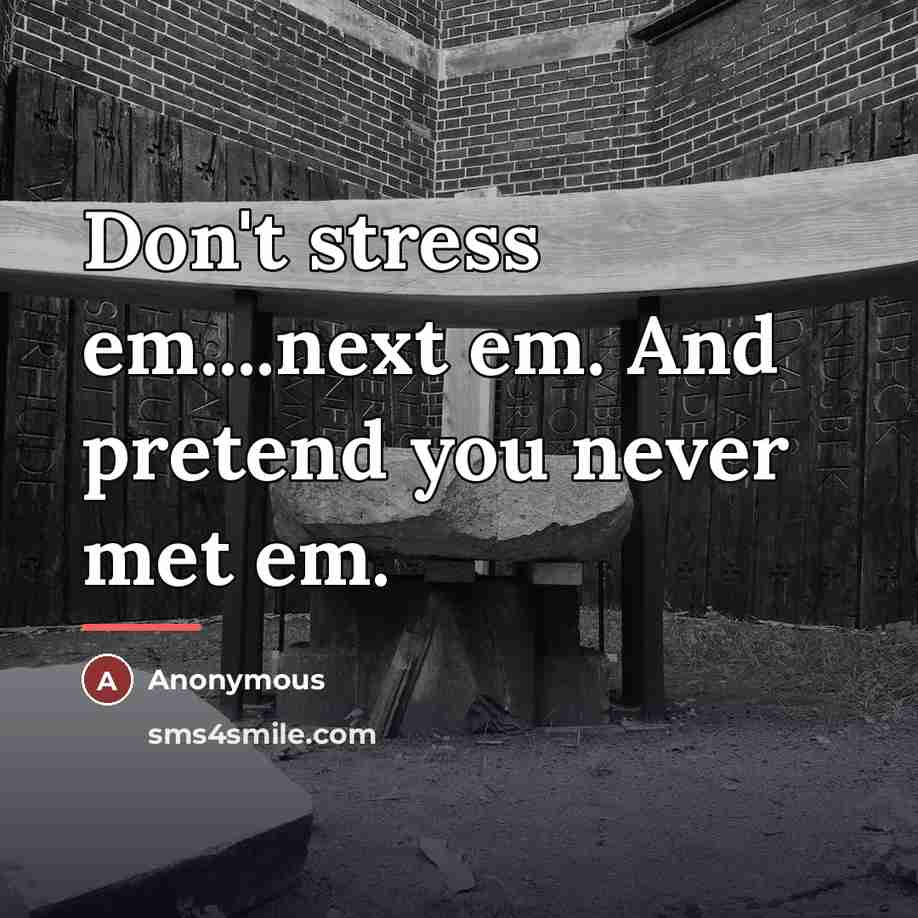 “Don't stress em....next em. And pretend you never met em.…” quote by Anonymous