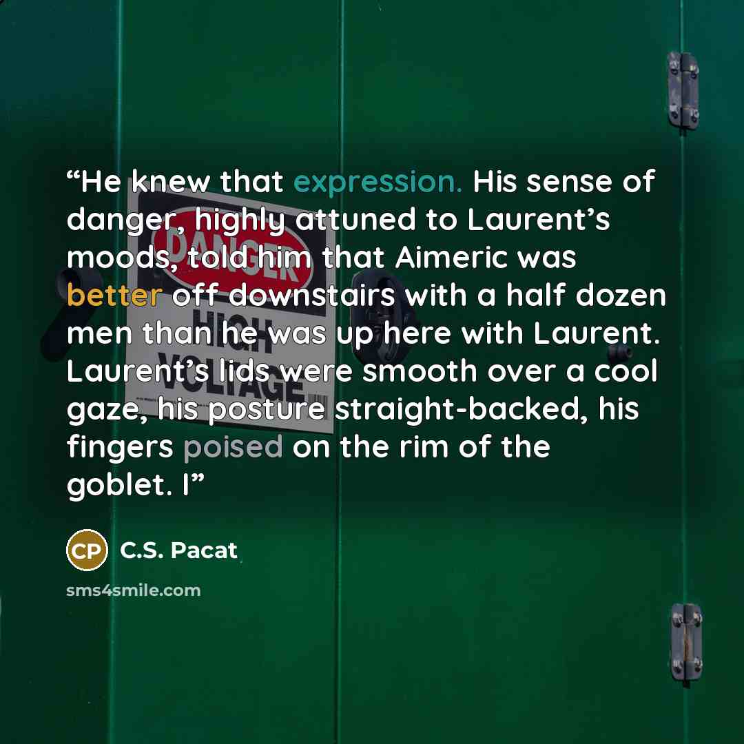 “He knew that expression. His sense of danger, highly attuned to Laurent’s moods, told him that Aimeric was better off downstairs with a half dozen men than he was up here with Laurent. Laurent’s lids were smooth over a cool gaze, his posture straight-backed, his fingers poised on the rim of the…” quote by C.S. Pacat
