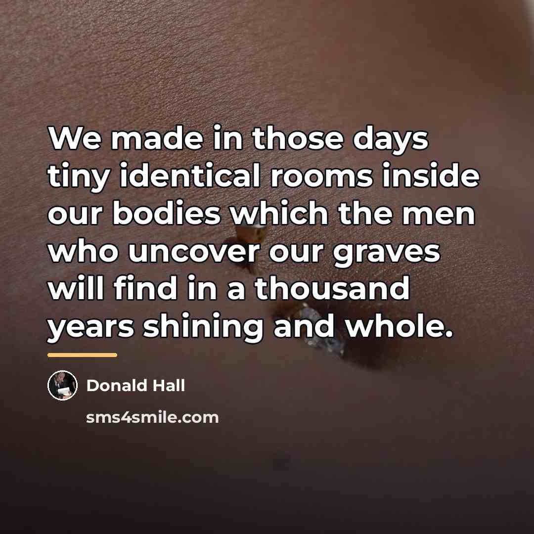 “We made in those days tiny identical rooms inside our…” quote by Donald Hall