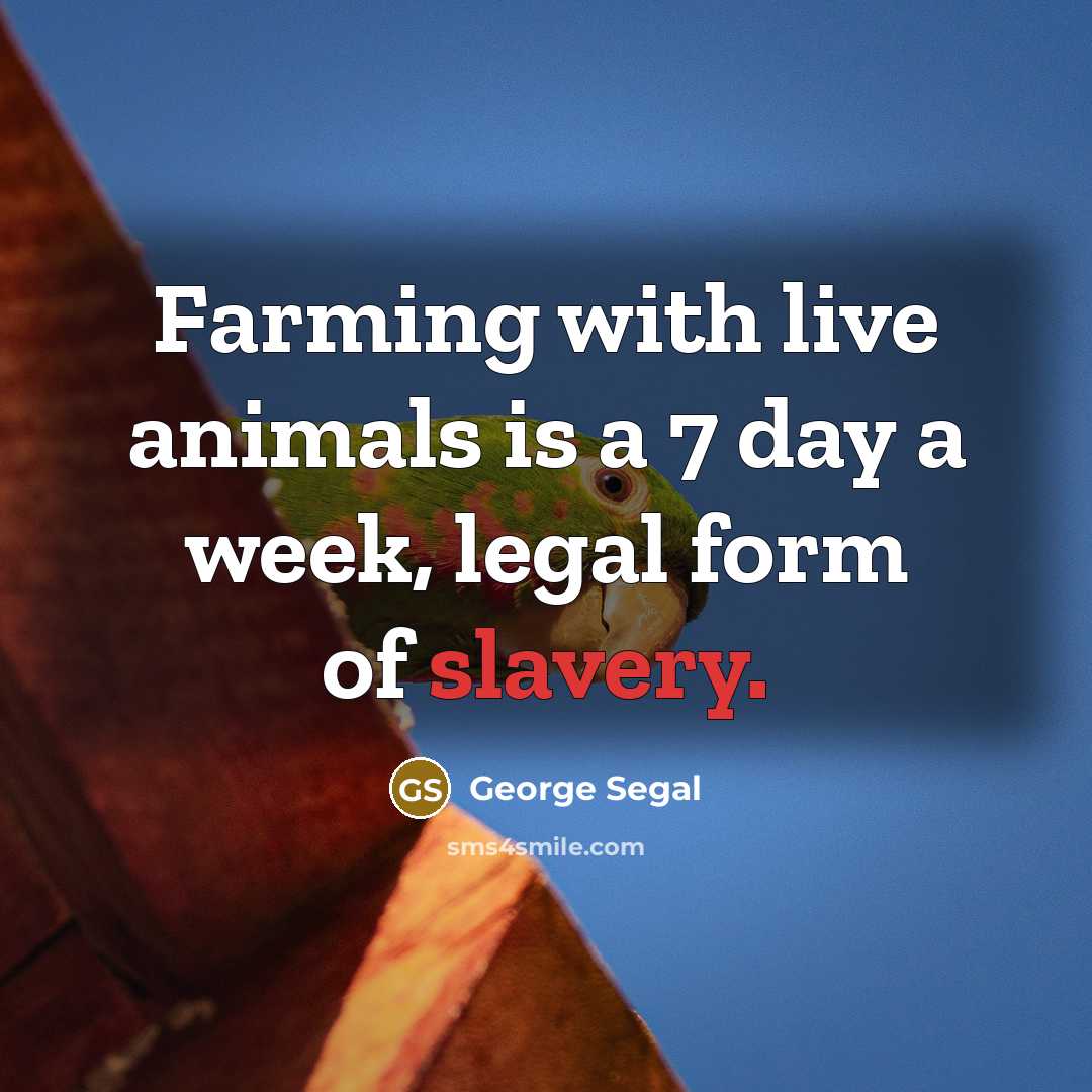 “Farming with live animals is a 7 day a week,…” quote by George Segal