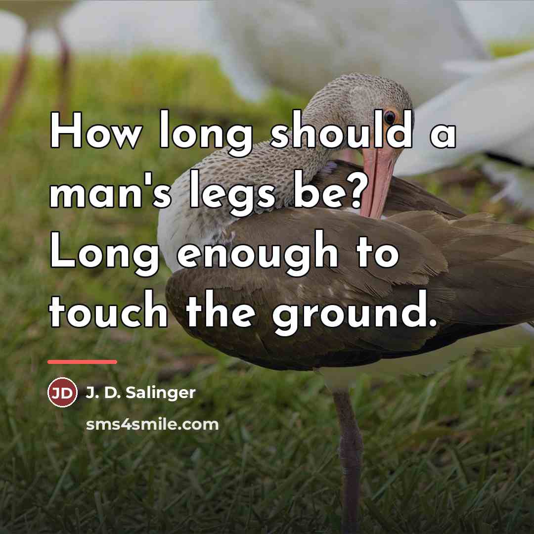 “How long should a man's legs be? Long enough to…” quote by J. D. Salinger