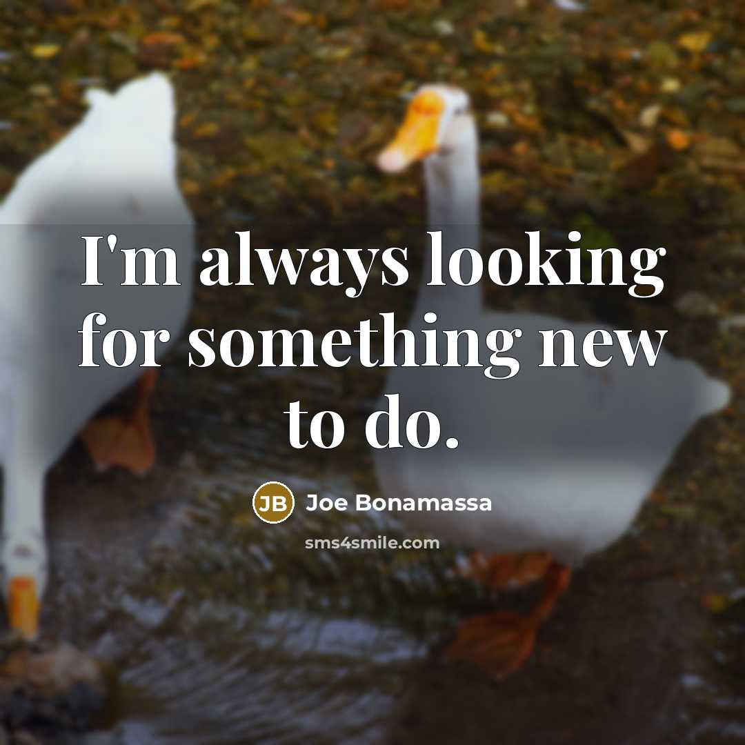 “I'm always looking for something new to do.…” quote by Joe Bonamassa
