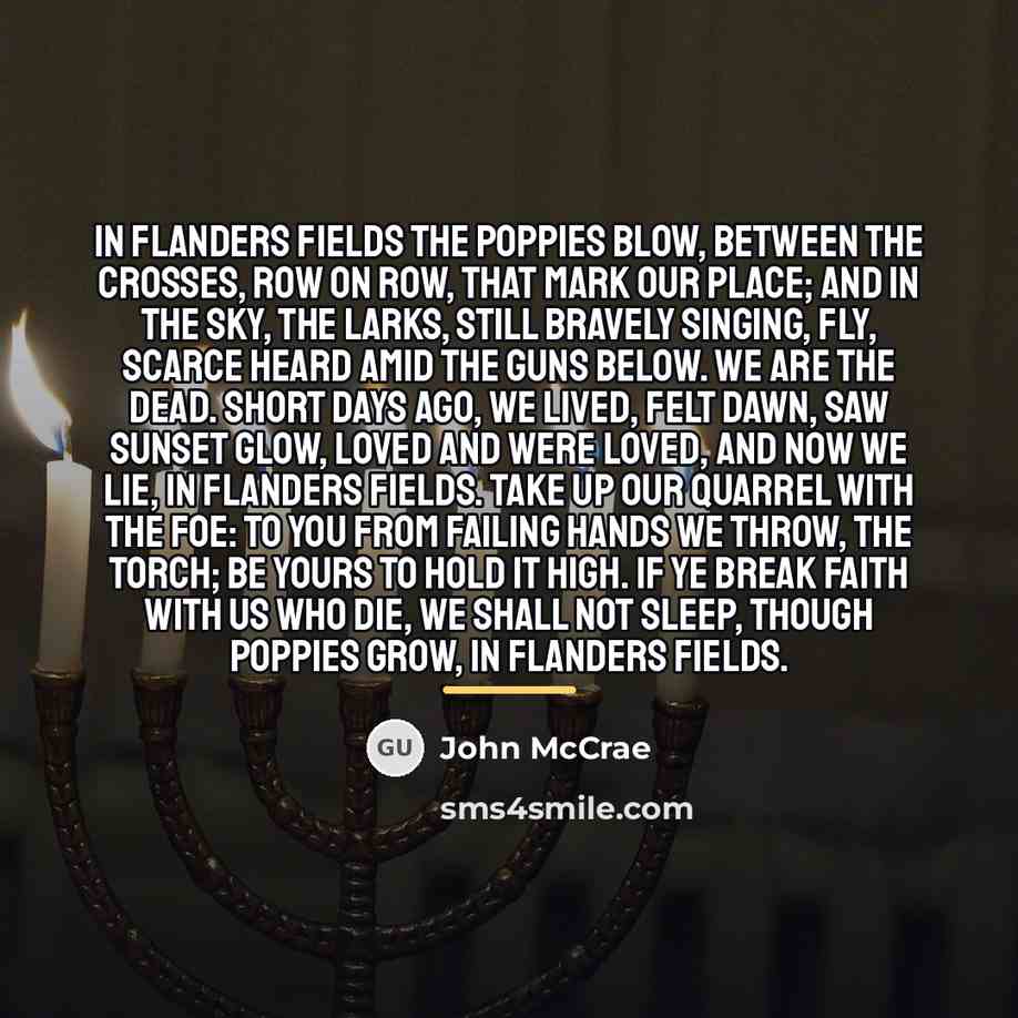 “In Flanders fields the poppies blow, Between the crosses, row…” quote by John McCrae