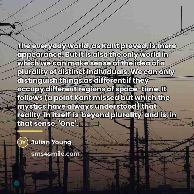 “The everyday world, as Kant proved, is mere appearance. But…” quote by Julian Young