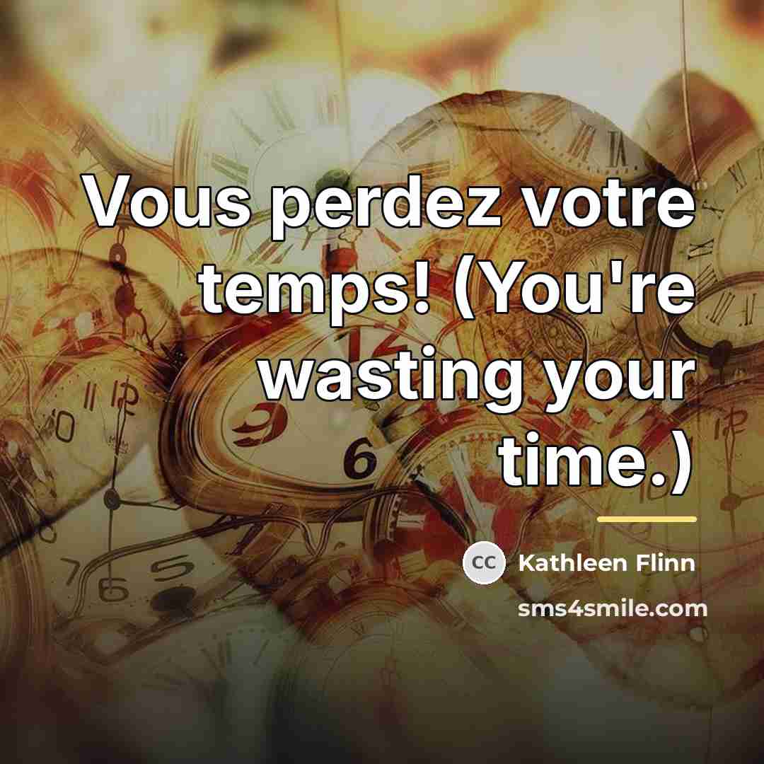 “Vous perdez votre temps! (You're wasting your time.)…” quote by Kathleen Flinn