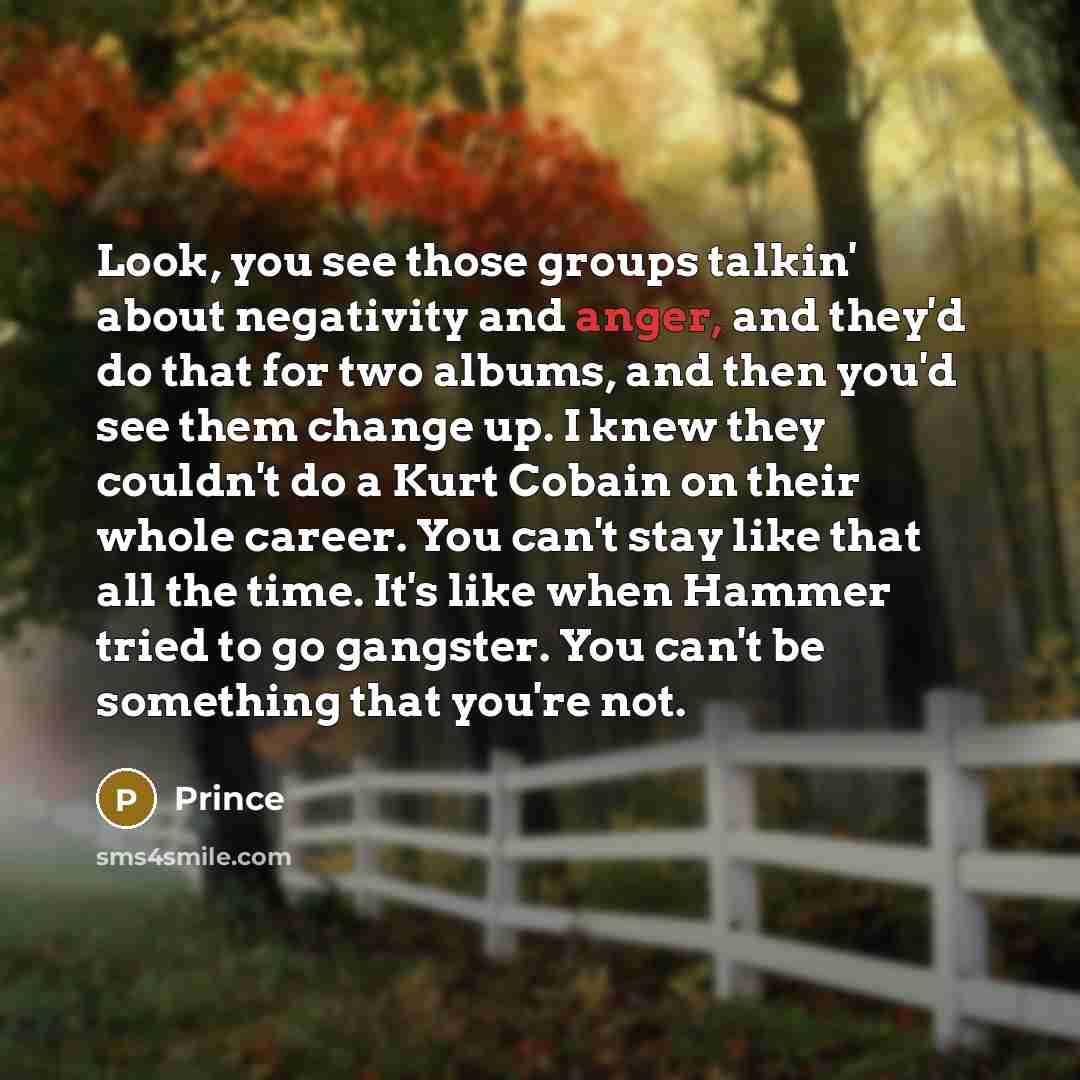“Look, you see those groups talkin' about negativity and anger,…” quote by Prince