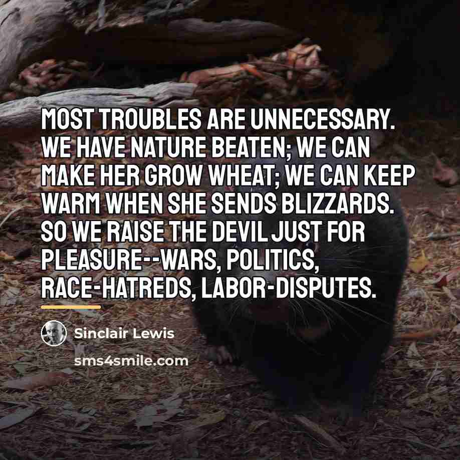 “Most troubles are unnecessary. We have Nature beaten; we can…” quote by Sinclair Lewis