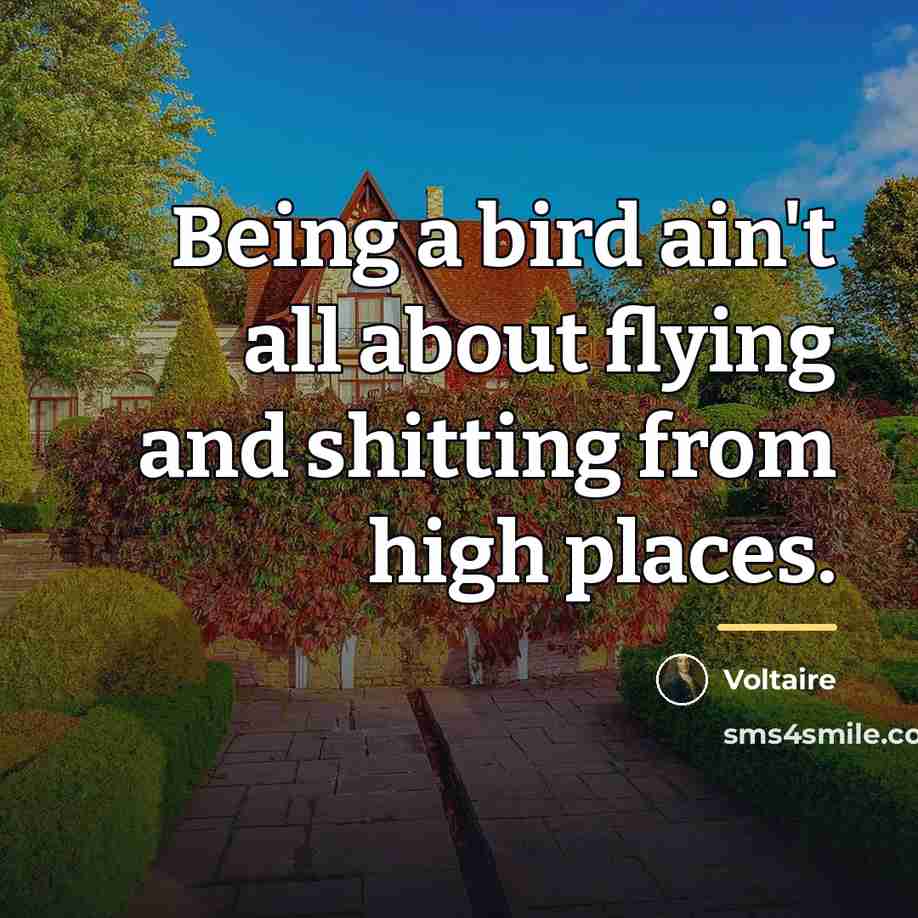 “Being a bird ain't all about flying and shitting from…” quote by Voltaire