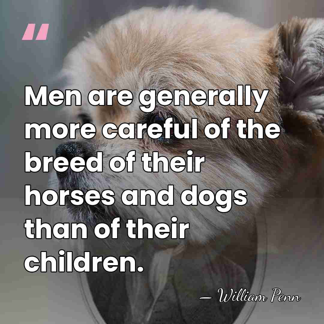 Men are generally more careful of the breed of their horses and&hellip; - William Penn