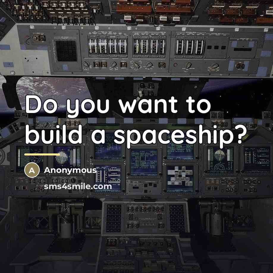 “Do you want to build a spaceship?…” quote by Anonymous