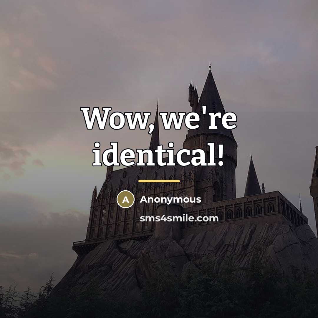 “Wow, we're identical!…” quote by Anonymous