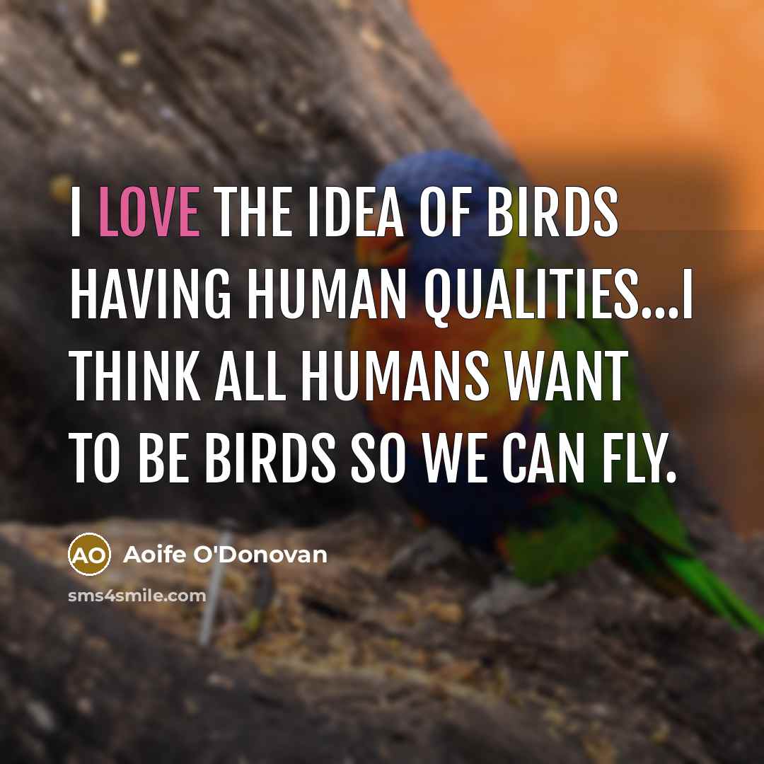 “I love the idea of birds having human qualities...I think…” quote by Aoife O'Donovan