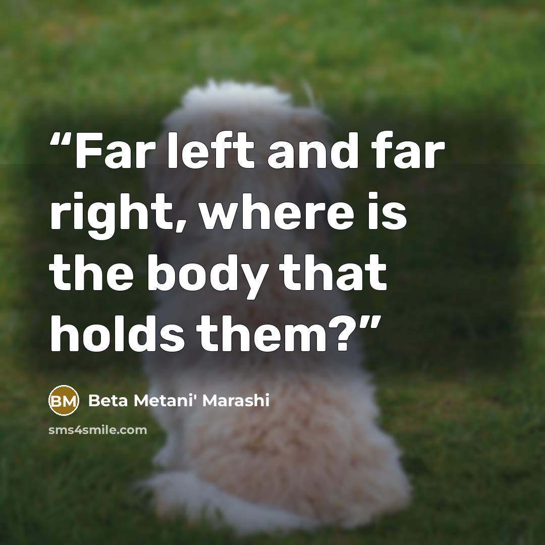 “Far left and far right, where is the body that holds them?” quote by Beta Metani' Marashi