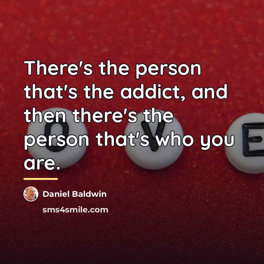 “There's the person that's the addict, and then there's the…” quote by Daniel Baldwin