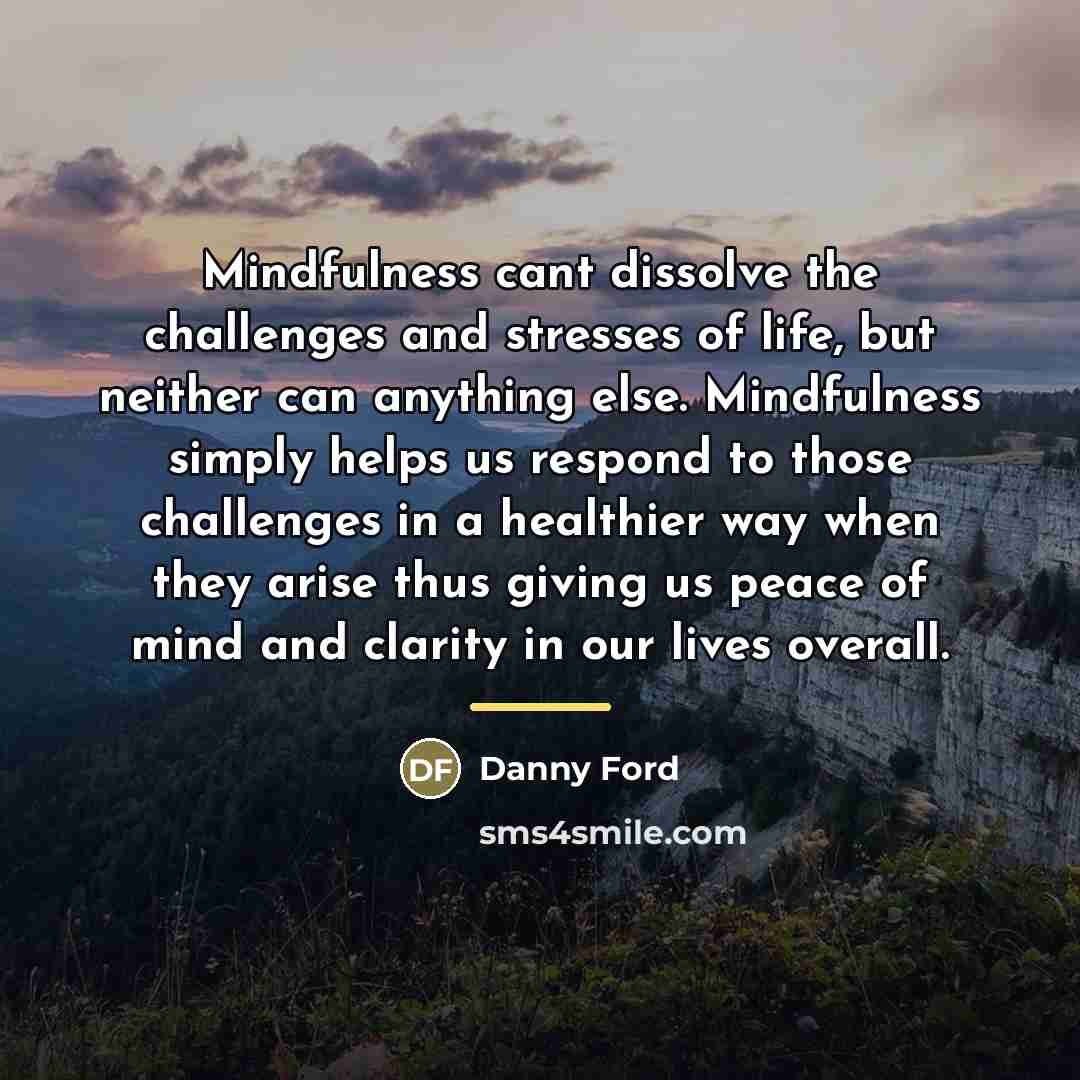 “Mindfulness cant dissolve the challenges and stresses of life, but…” quote by Danny Ford
