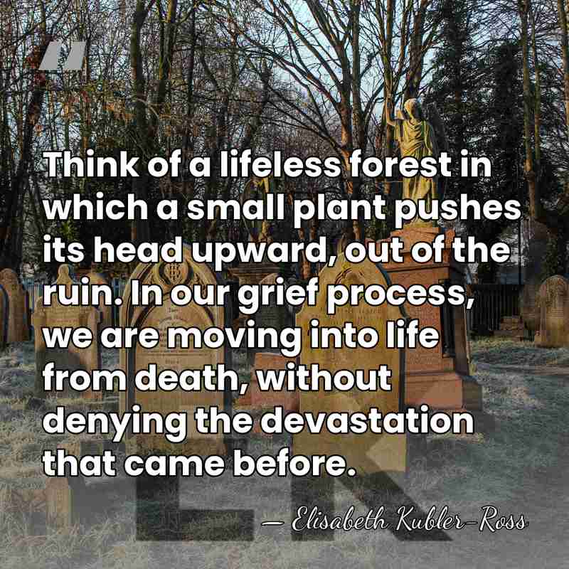 Think of a lifeless forest in which a small plant pushes its&hellip; - Elisabeth Kubler-Ross