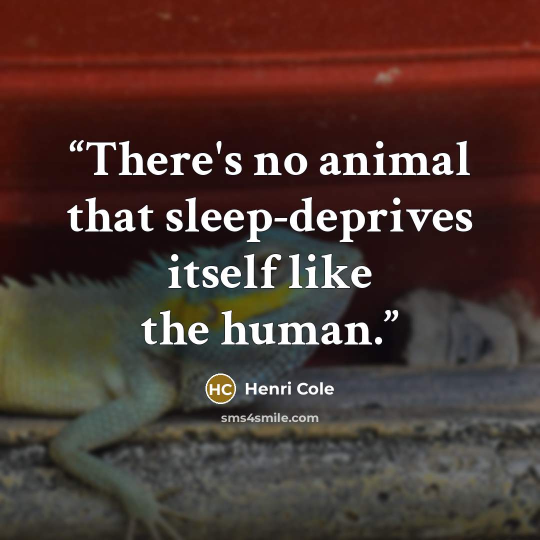 “There's no animal that sleep-deprives itself like the human.” quote by Henri Cole