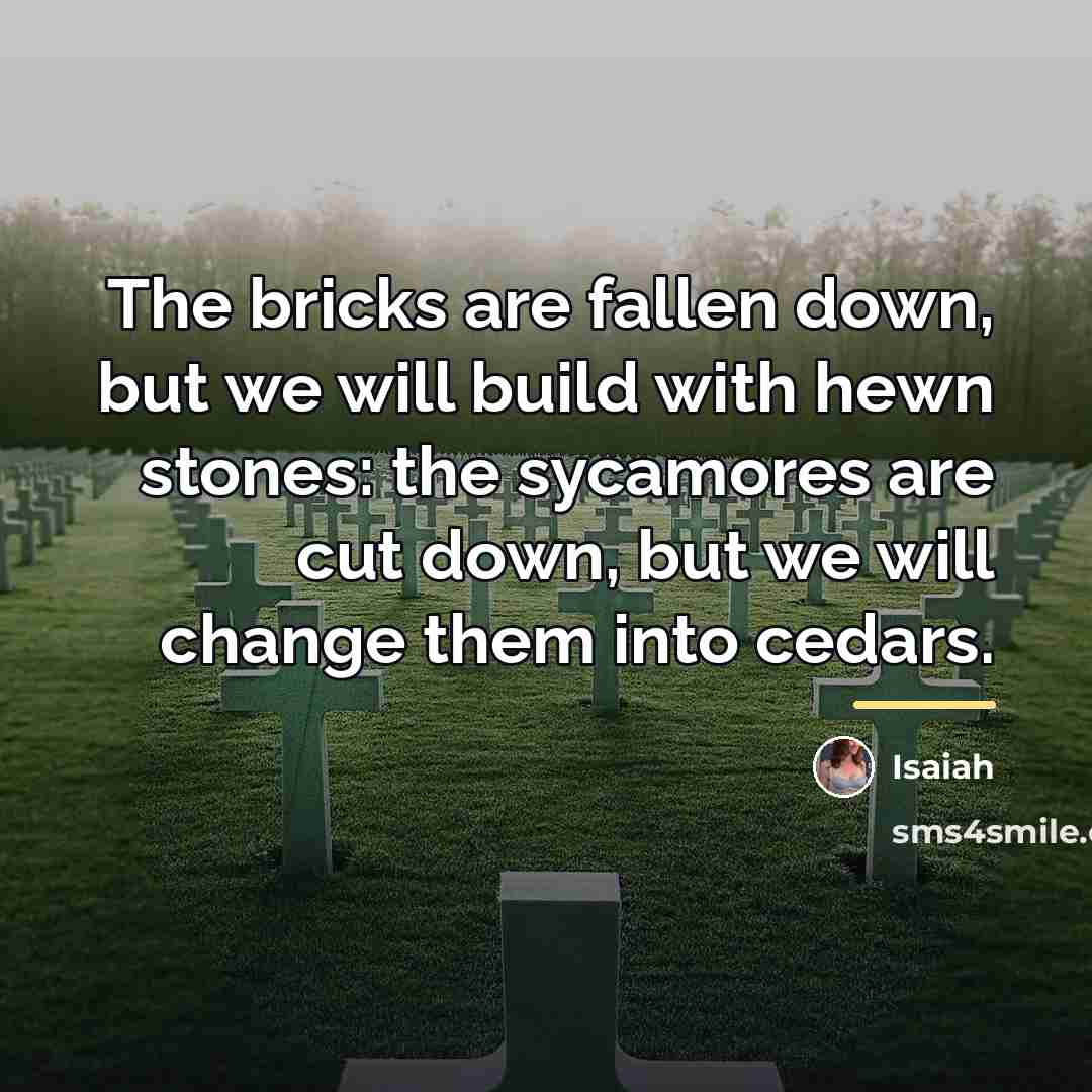“The bricks are fallen down, but we will build with…” quote by Isaiah