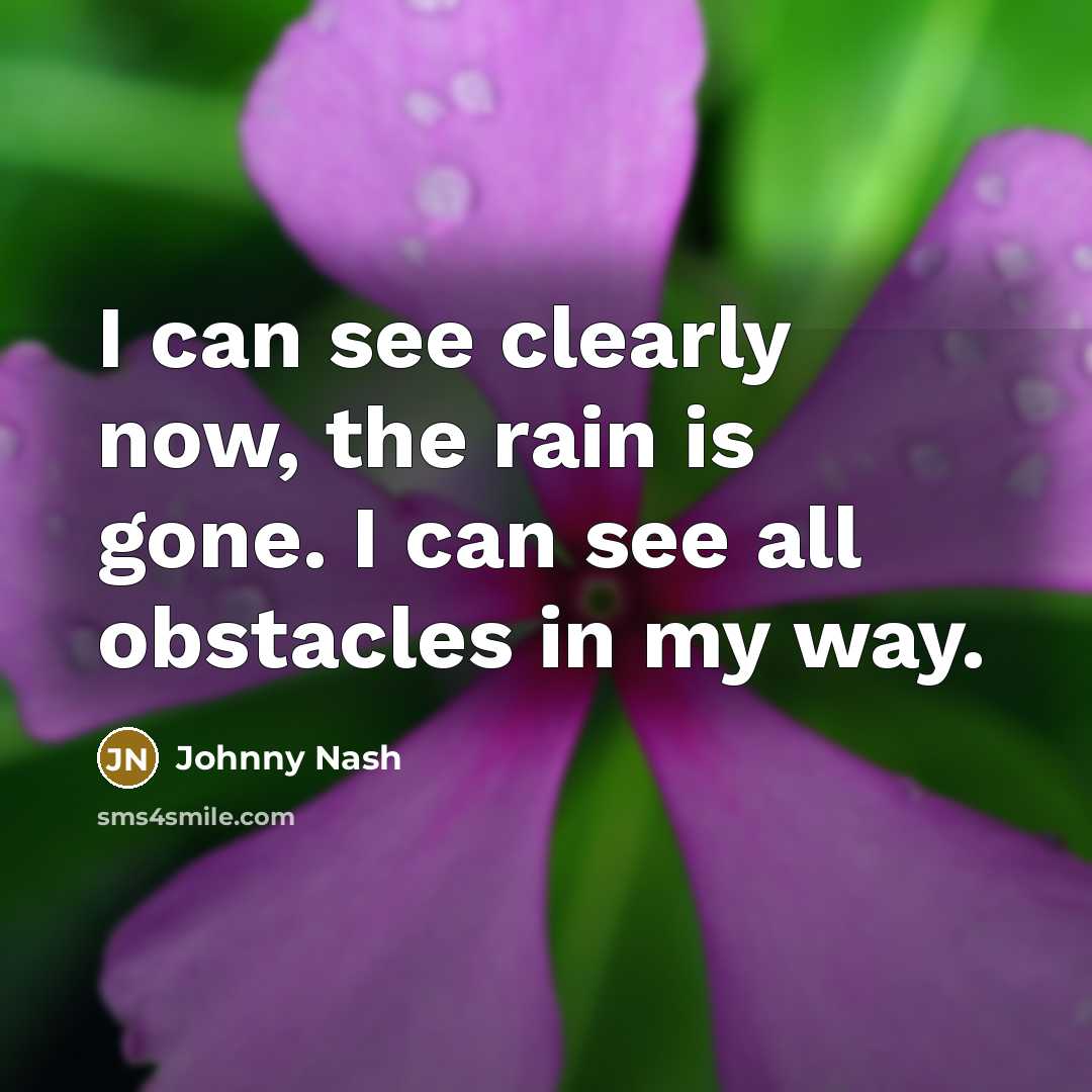 “I can see clearly now, the rain is gone. I…” quote by Johnny Nash