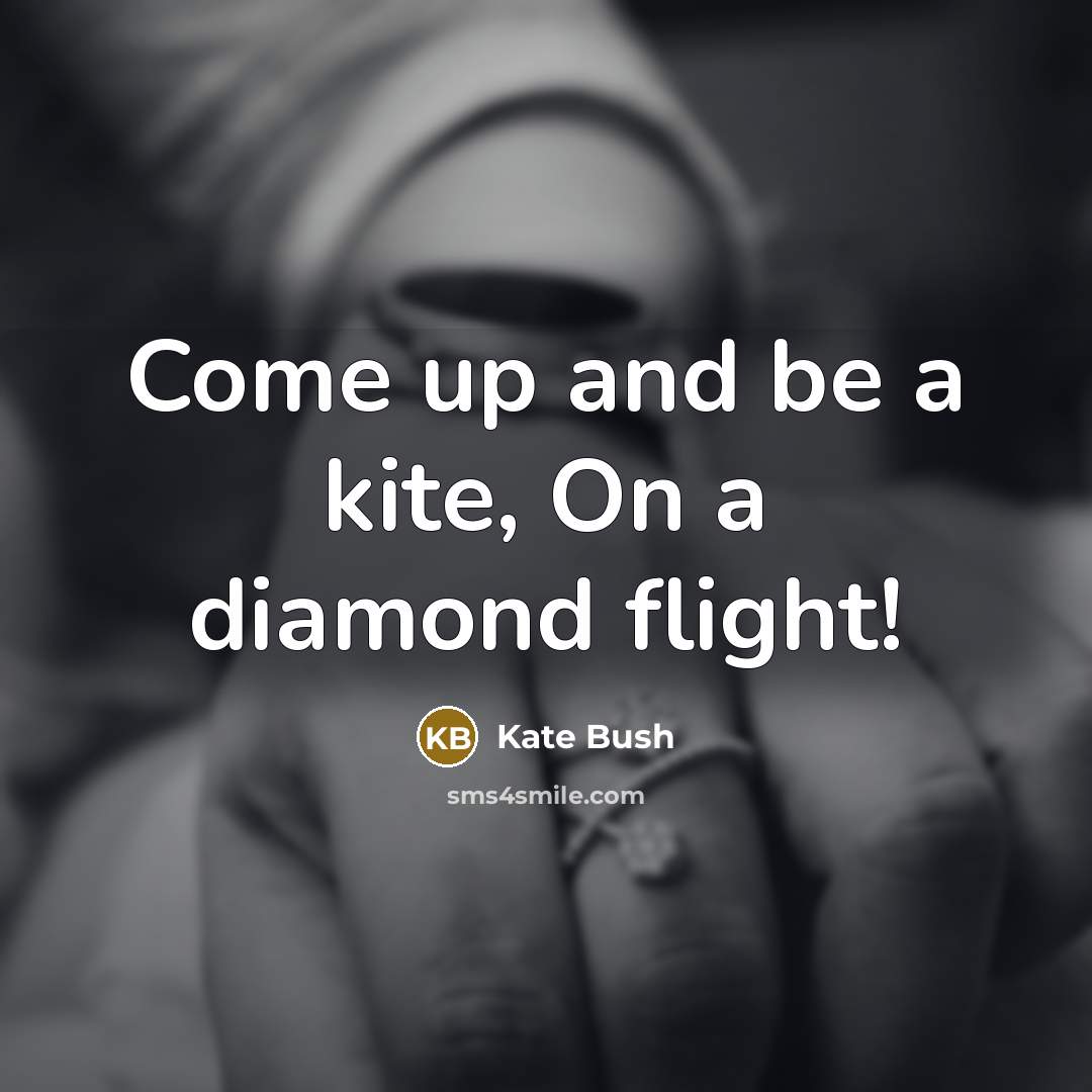 “Come up and be a kite, On a diamond flight!…” quote by Kate Bush