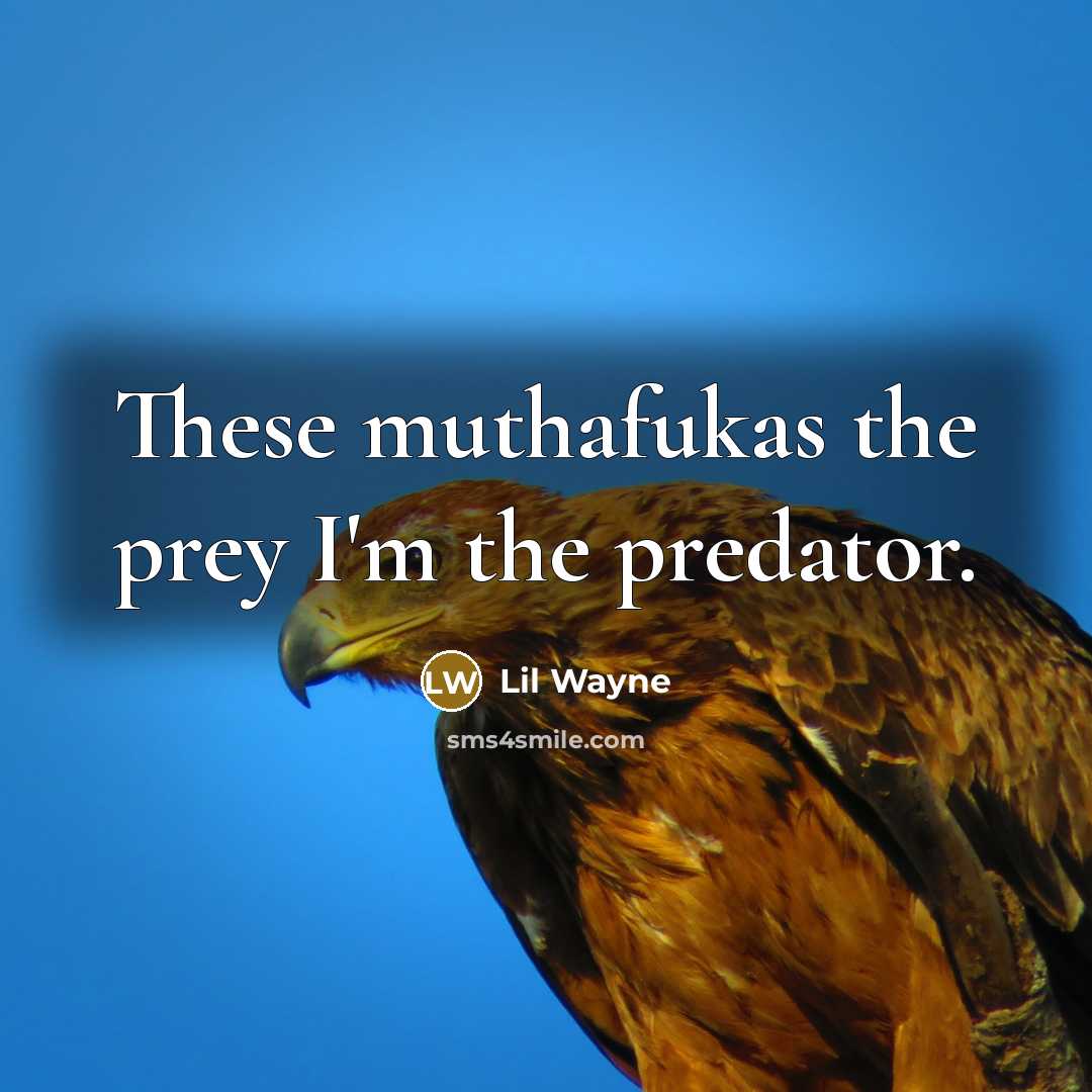 “These muthafukas the prey I'm the predator.” quote by Lil Wayne