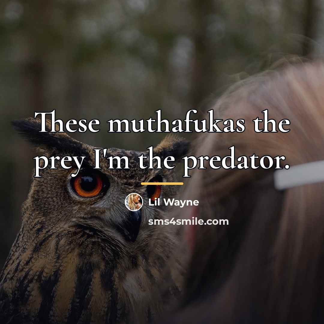 “These muthafukas the prey I'm the predator.…” quote by Lil Wayne