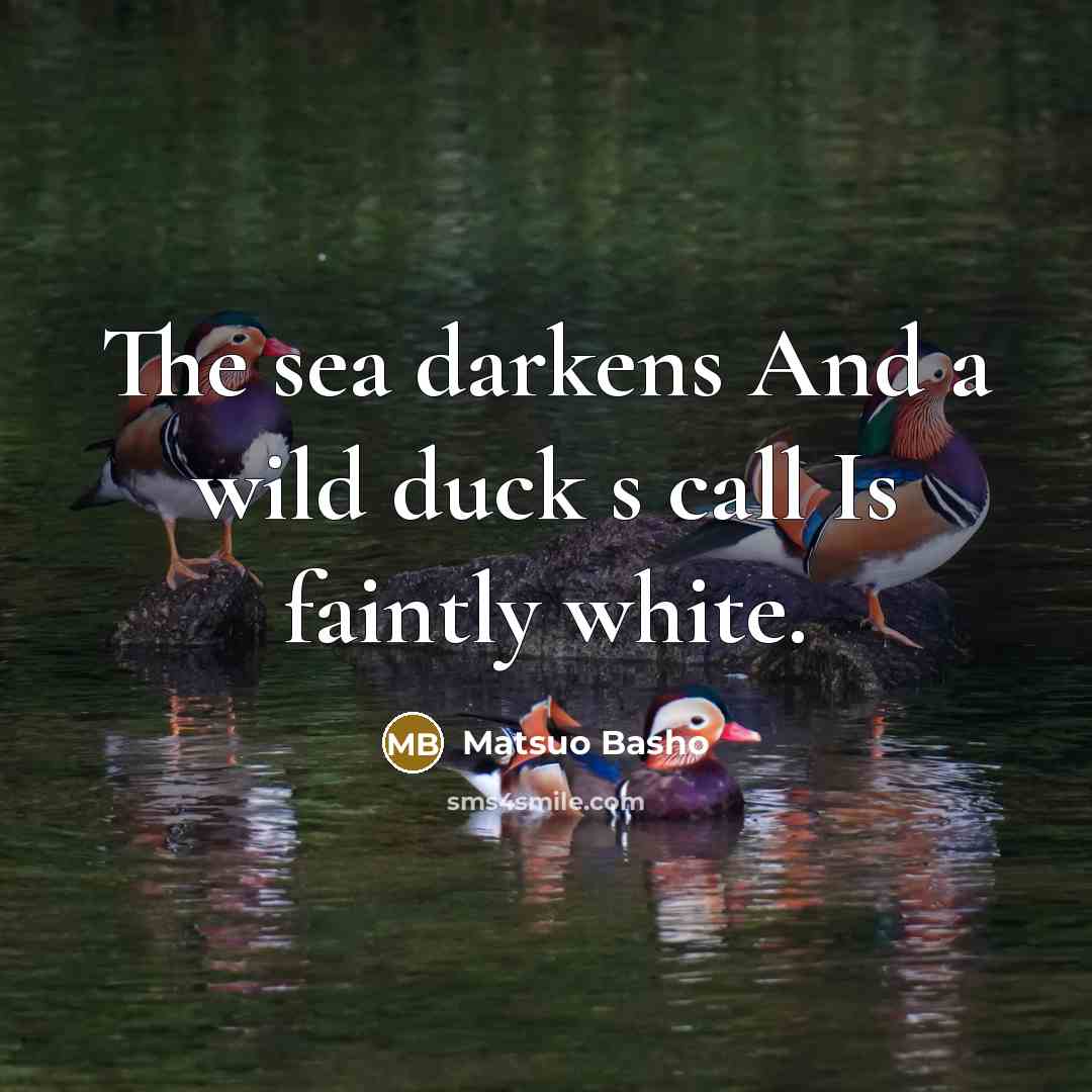 “The sea darkens And a wild duck s call Is…” quote by Matsuo Basho