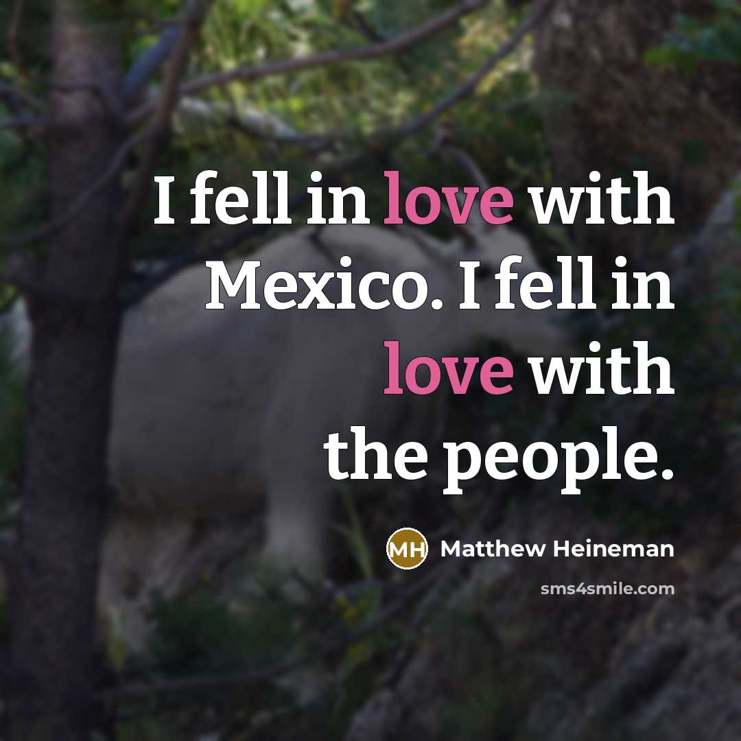 “I fell in love with Mexico. I fell in love…” quote by Matthew Heineman