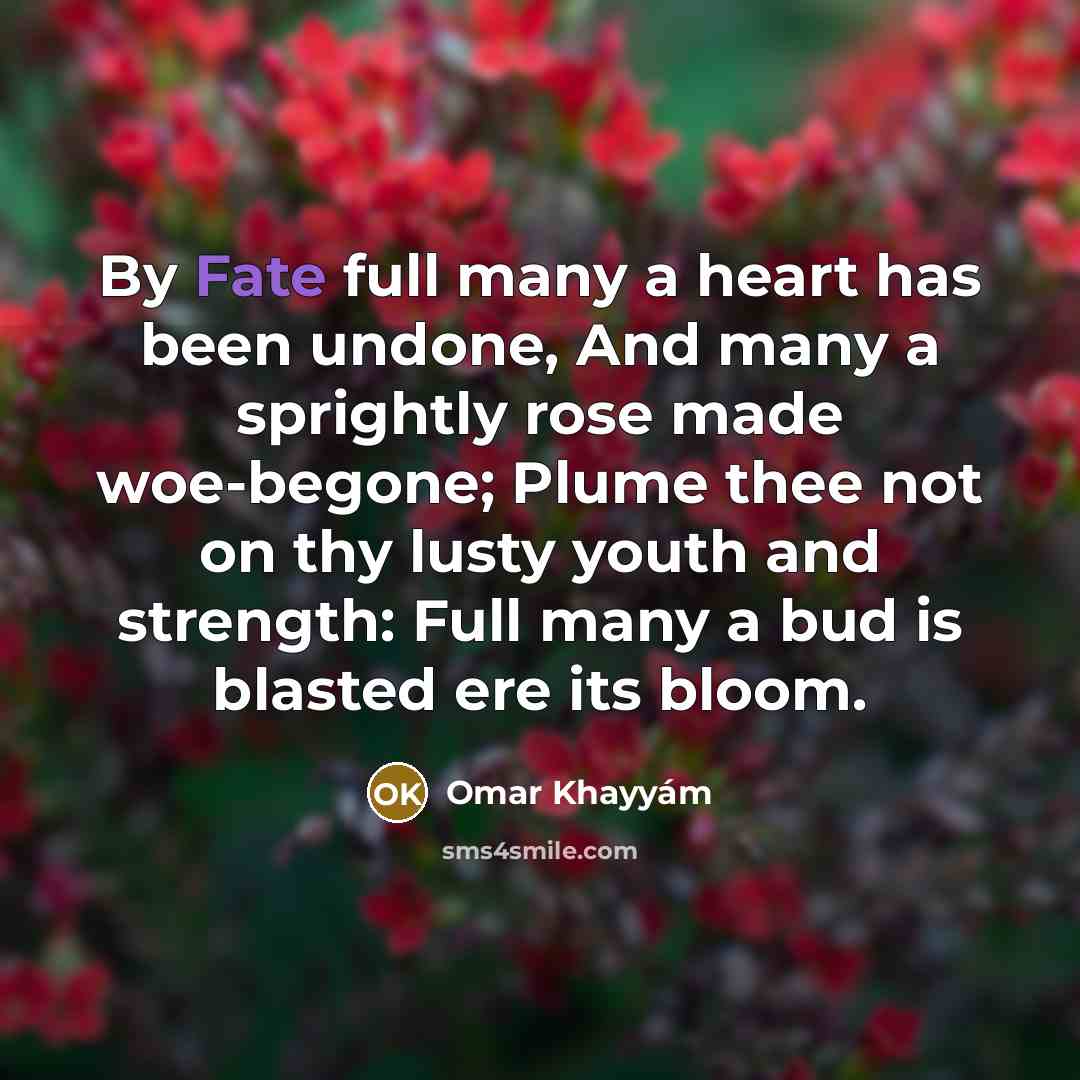 “By Fate full many a heart has been undone, And…” quote by Omar Khayyam
