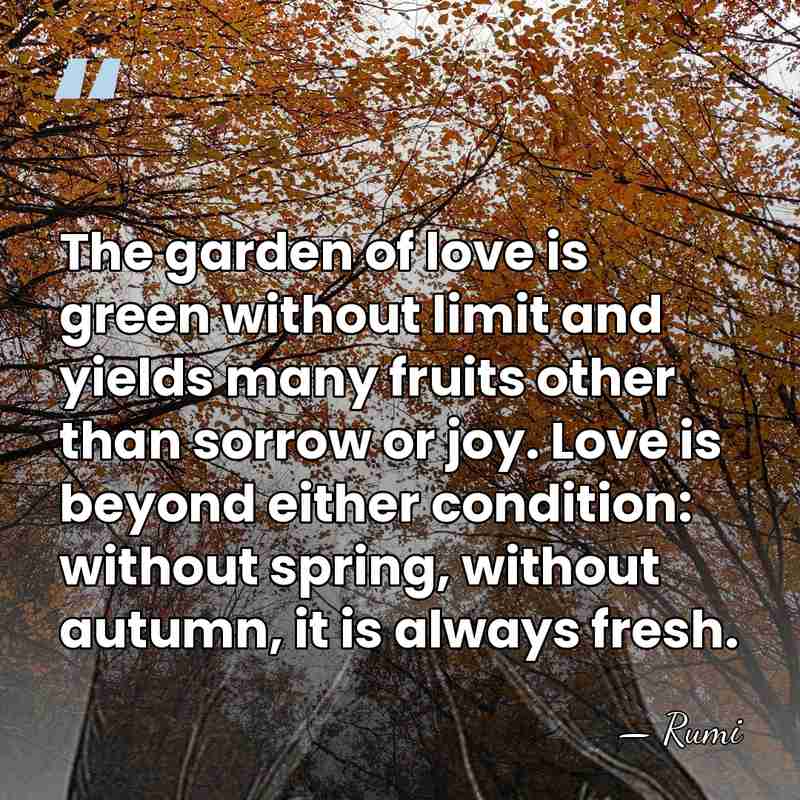 The garden of love is green without limit and yields many fruits&hellip; - Rumi