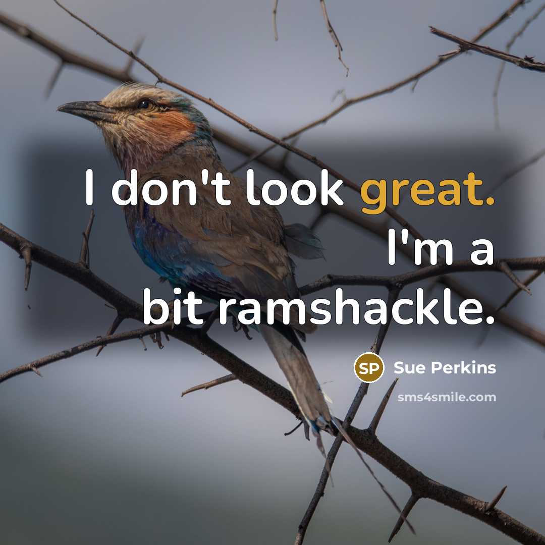 “I don't look great. I'm a bit ramshackle.…” quote by Sue Perkins
