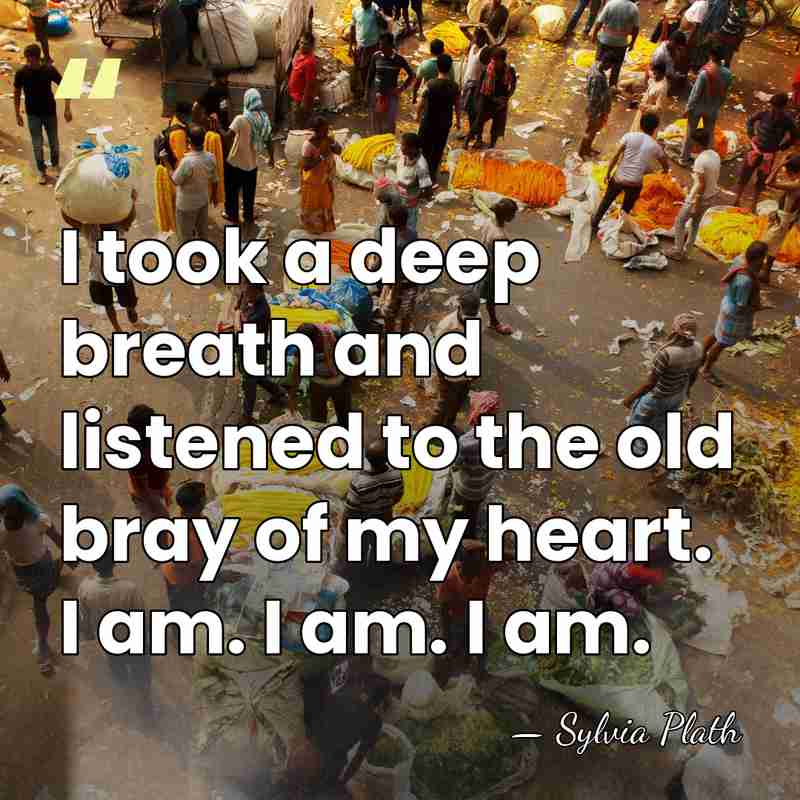 I took a deep breath and listened to the old bray of&hellip; - Sylvia Plath