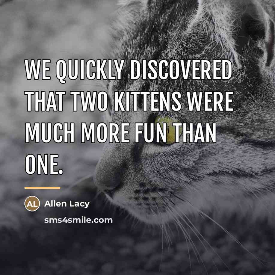 “We quickly discovered that two kittens were much more fun…” quote by Allen Lacy