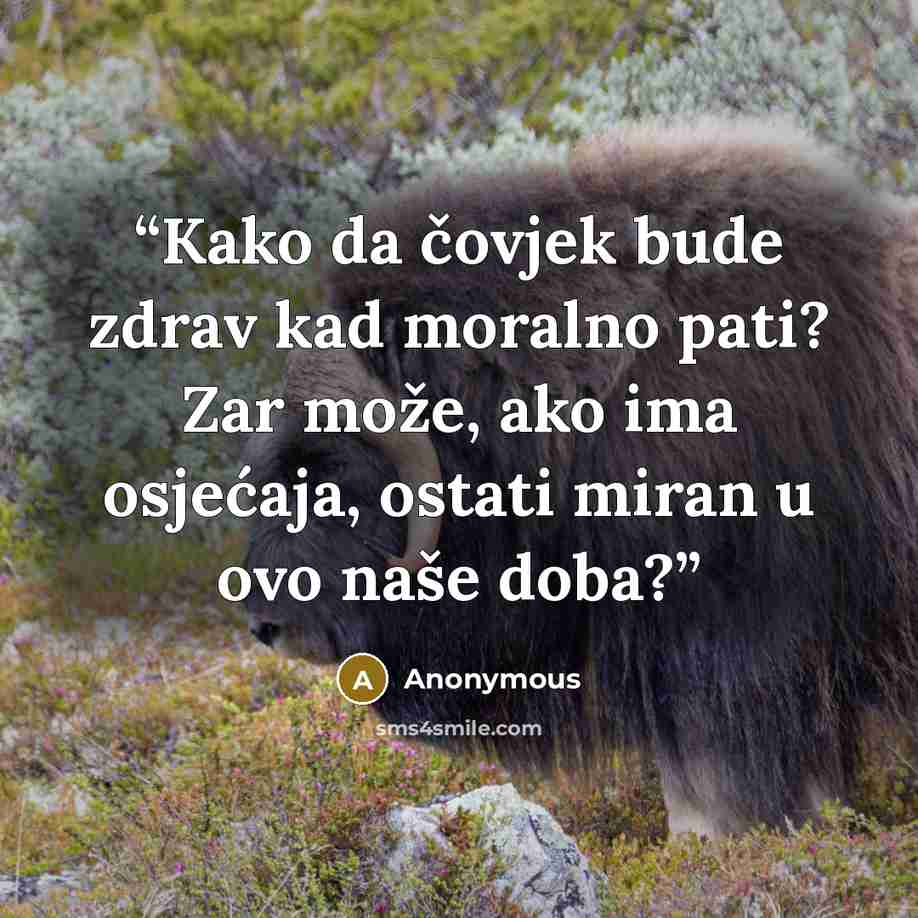 “Kako da čovjek bude zdrav kad moralno pati? Zar može, ako ima osjećaja, ostati miran u ovo naše doba?” quote by Anonymous