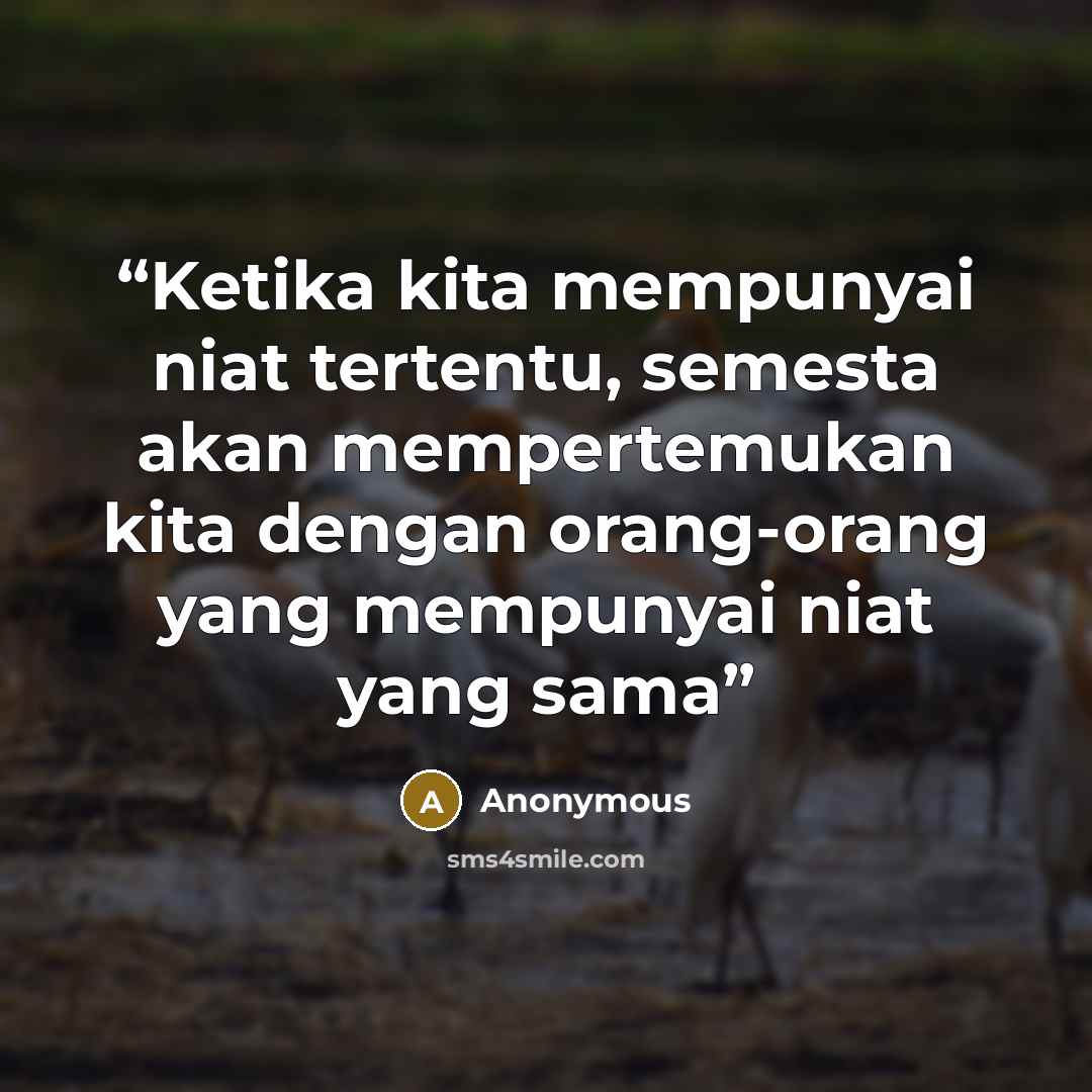 “Ketika kita mempunyai niat tertentu, semesta akan mempertemukan kita dengan orang-orang yang mempunyai niat yang sama” quote by Anonymous