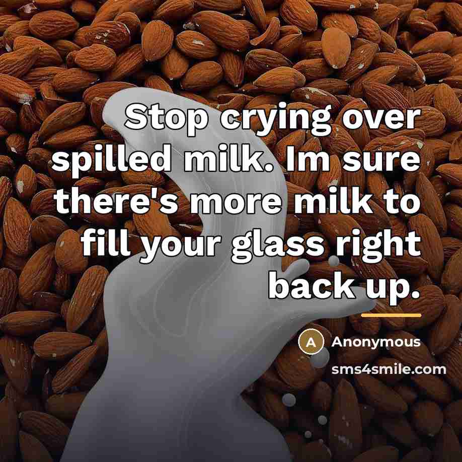 “Stop crying over spilled milk. Im sure there's more milk…” quote by Anonymous