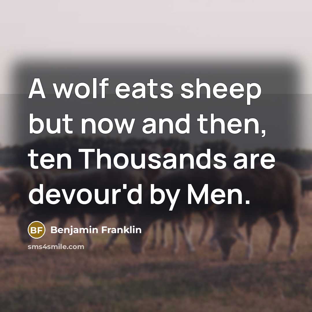 “A wolf eats sheep but now and then, ten Thousands…” quote by Benjamin Franklin