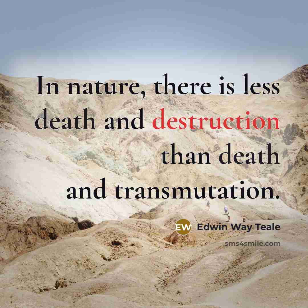 “In nature, there is less death and destruction than death…” quote by Edwin Way Teale