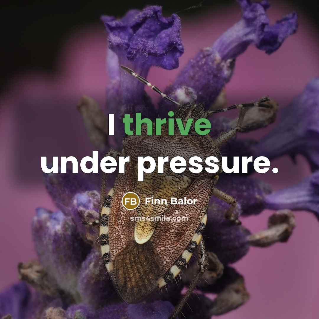 “I thrive under pressure.…” quote by Finn Balor
