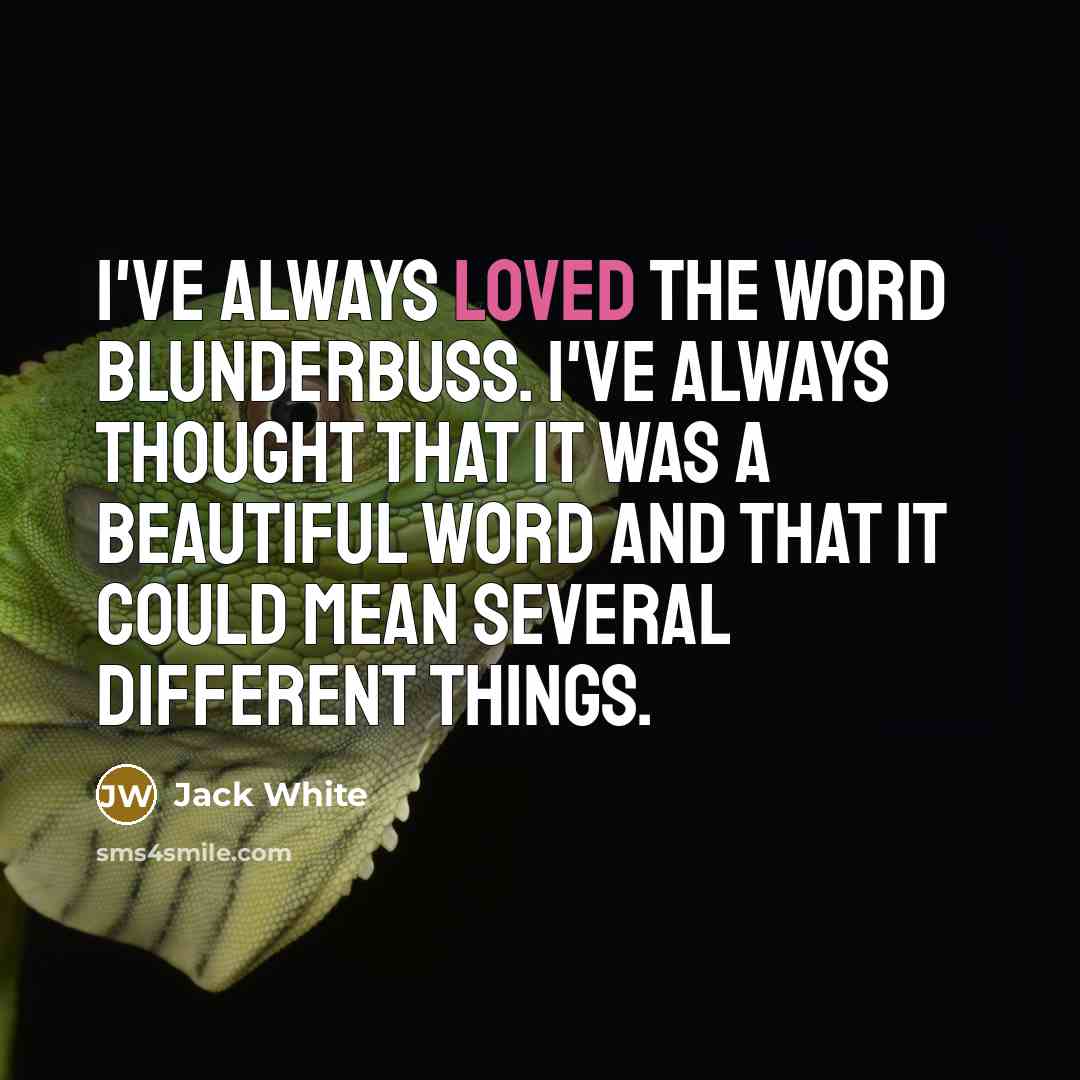 “I've always loved the word blunderbuss. I've always thought that…” quote by Jack White