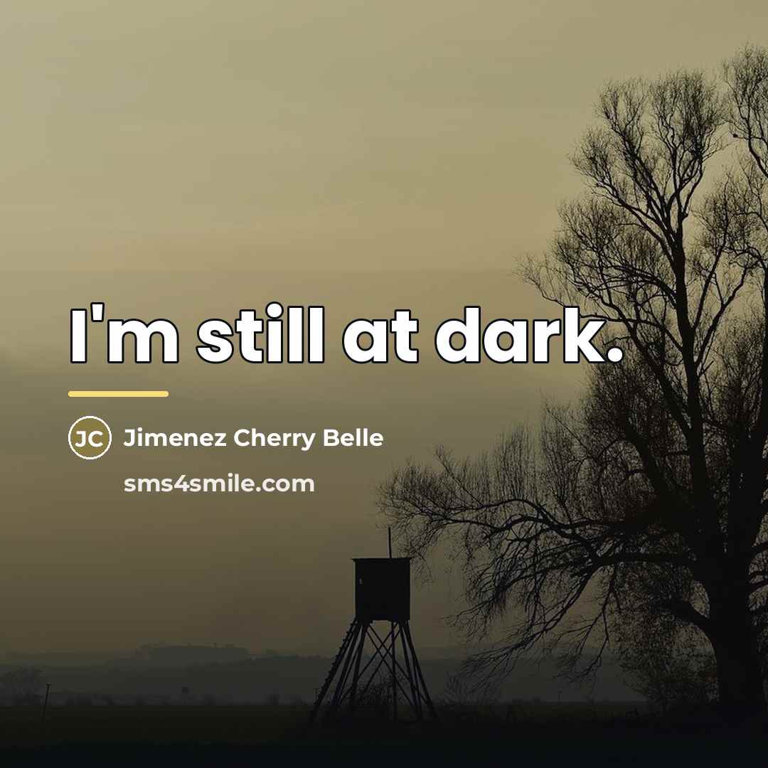 “I'm still at dark.…” quote by Jimenez Cherry Belle