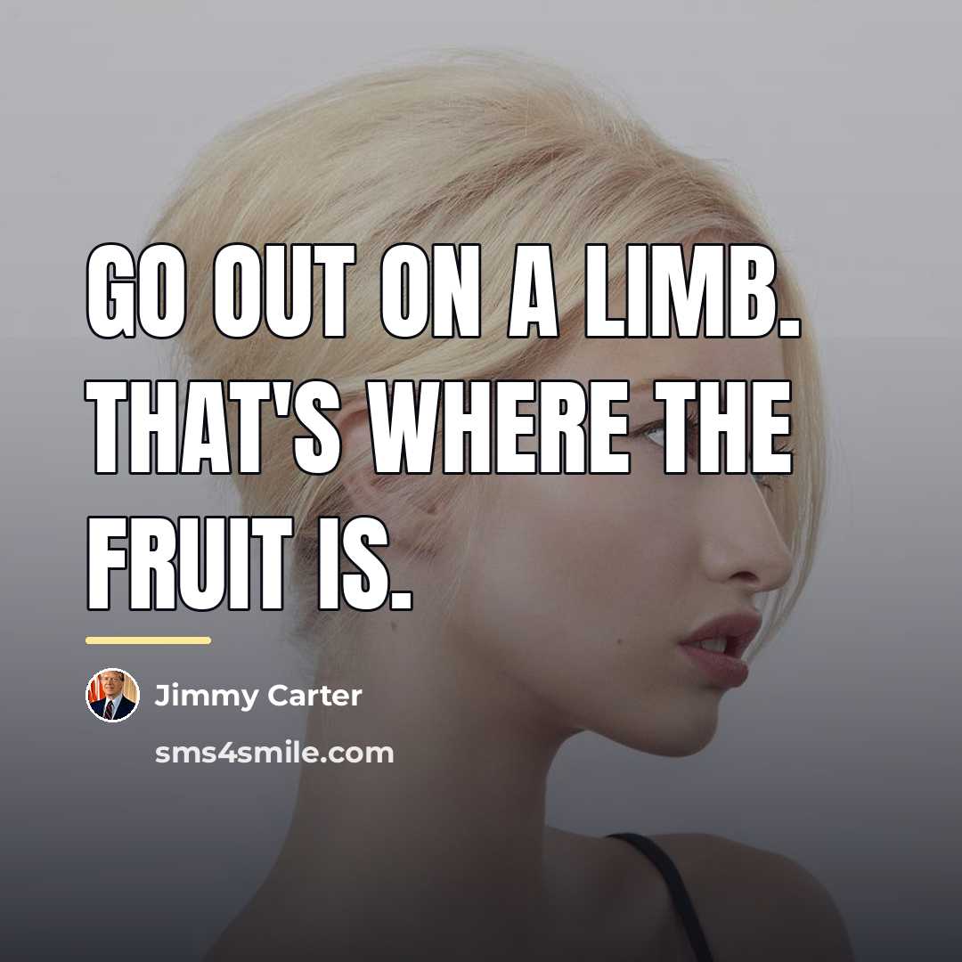 “Go out on a limb. That's where the fruit is.…” quote by Jimmy Carter