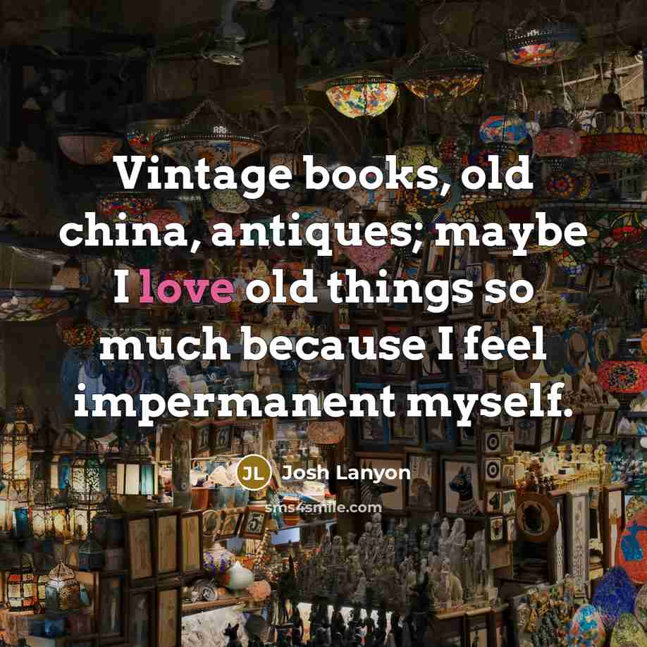 “Vintage books, old china, antiques; maybe I love old things…” quote by Josh Lanyon