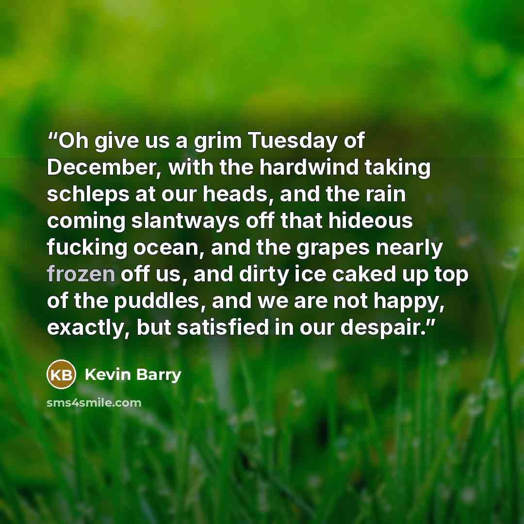 “Oh give us a grim Tuesday of December, with the hardwind taking schleps at our heads, and the rain coming slantways off that hideous fucking ocean, and the grapes nearly frozen off us, and dirty ice caked up top of the puddles, and we are not happy, exactly, but satisfied in our despair.” quote by Kevin Barry