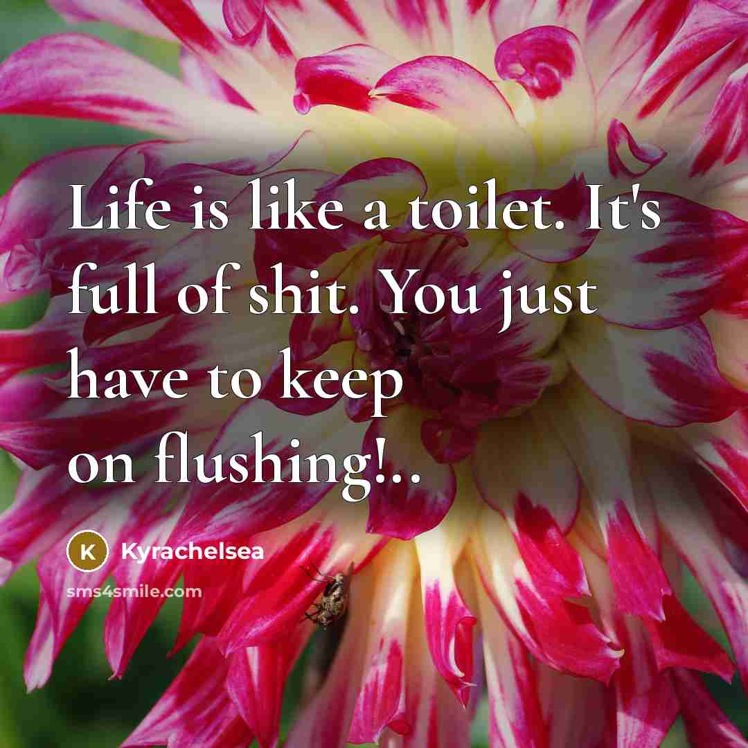 “Life is like a toilet. It's full of shit. You just have to keep on flushing!..” quote by Kyrachelsea